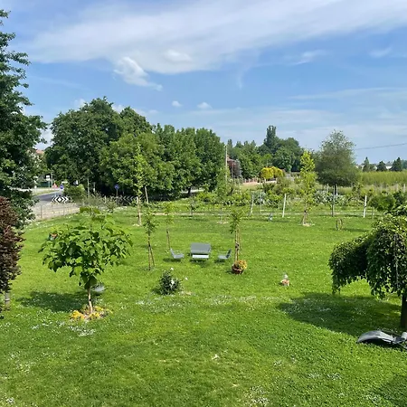 Gocce Balsamiche
