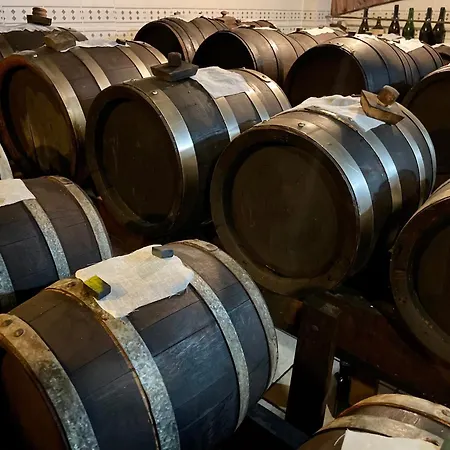 Gocce Balsamiche 1977 아파트 Ravarino