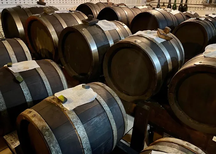 Gocce Balsamiche Appartamento Ravarino